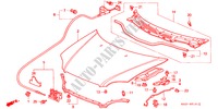 MOTORHAUBE(RH) für Honda CIVIC COUPE 1.6ILS 2 Türen 5 gang-Schaltgetriebe 1998