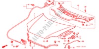 MOTORHAUBE(RH) für Honda CIVIC 1.4I 3 Türen 4 gang automatikgetriebe 2000