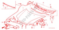MOTORHAUBE(RH) für Honda CR-V RVI 5 Türen 5 gang-Schaltgetriebe 2000
