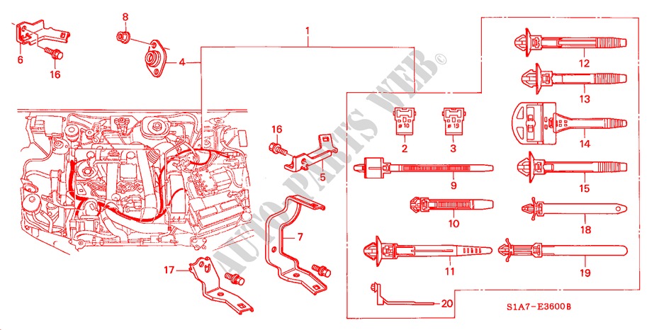 MOTORKABELBAUM (DIESEL) für Honda ACCORD 2.0ITD 4 Türen 5 gang-Schaltgetriebe 1999