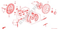 HINTERRADBREMSE(TROMMEL) für Honda ACCORD 1.6ILS 4 Türen 5 gang-Schaltgetriebe 2000