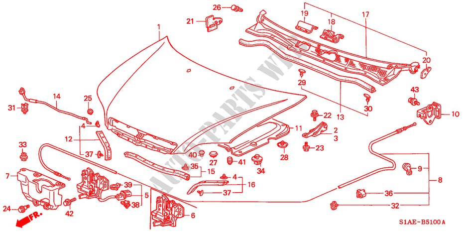 MOTORHAUBE(LH) für Honda ACCORD 1.8IS 4 Türen 5 gang-Schaltgetriebe 2000