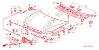 MOTORHAUBE(RH) für Honda ACCORD 1.8I         SPORT 4 Türen 5 gang-Schaltgetriebe 2002