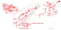 WASSERSCHLAUCH(1.6L) für Honda ACCORD 1.6ILS         7PA 4 Türen 5 gang-Schaltgetriebe 2002