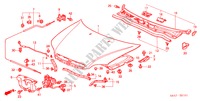 MOTORHAUBE(RH) für Honda ACCORD 1.8IES 5 Türen 4 gang automatikgetriebe 2000