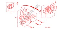 WASSERPUMPE(DIESEL) für Honda ACCORD 2.0TDI 5 Türen 5 gang-Schaltgetriebe 2000