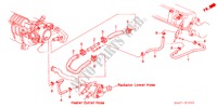 WASSERSCHLAUCH(1.6L) für Honda ACCORD 1.6IS 5 Türen 5 gang-Schaltgetriebe 2000