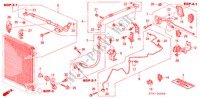 SCHLAEUCHE/LEITUNGEN(LH) ('04) (EINZEL) (2.0L) für Honda STREAM 2.0SI 5 Türen 5 gang automatikgetriebe 2004