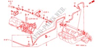 ROHRE(L4)(2) für Honda ACCORD COUPE 2.0IES 2 Türen 5 gang-Schaltgetriebe 2000