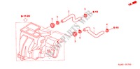 WASSERSCHLAUCH(LH) für Honda JAZZ 1.2 LS 5 Türen 5 gang-Schaltgetriebe 2004