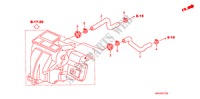 WASSERSCHLAUCH(LH) für Honda JAZZ 1.2 S-S 5 Türen 5 gang-Schaltgetriebe 2008