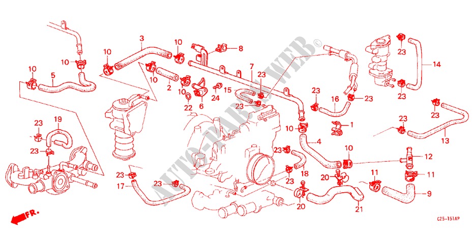 OELKUEHLERSCHLAUCH für Honda LEGEND V6 2.7I 4 Türen 5 gang-Schaltgetriebe 1988