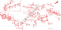 WASSERPUMPE/THERMOSTAT (PGM FI)(Y) für Honda PRELUDE 2.0SI 2 Türen 4 gang automatikgetriebe 1987
