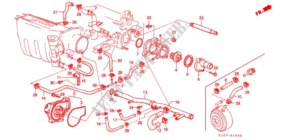 WASSERPUMPE/THERMOSTAT (PGM FI,DOHC) für Honda ACCORD 2.0I-16 4 Türen 5 gang-Schaltgetriebe 1988