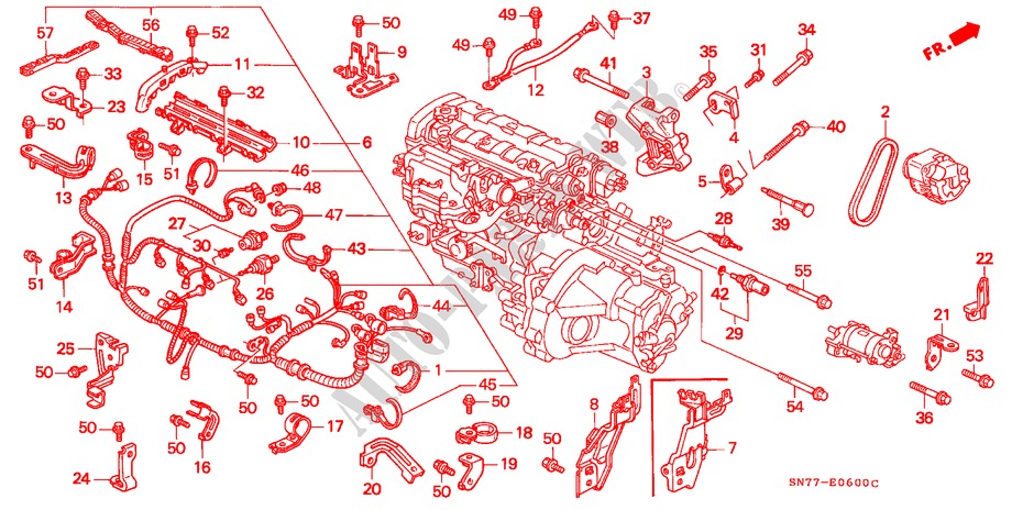MOTORKABELBAUM/KLAMMER für Honda ACCORD 2.0ILS       131PS 4 Türen 5 gang-Schaltgetriebe 1993