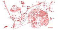 ATF LEITUNG(2.4L) für Honda CR-V EXECUTIVE 5 Türen 5 gang automatikgetriebe 2010