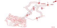 WASSERSCHLAUCH(L4) für Honda ACCORD 24LXI  SASO MIRROR 4 Türen 5 gang automatikgetriebe 2012