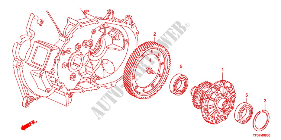 DIFFERENTIAL(MT) für Honda JAZZ 1.2LSRE 5 Türen 5 gang-Schaltgetriebe 2011