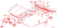 MOTORHAUBE(LH) für Honda ACCORD 2.0 ELEGANCE 4 Türen 6 gang-Schaltgetriebe 2012