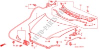 MOTORHAUBE(RH) für Honda CIVIC VTI 4 Türen 4 gang automatikgetriebe 2000