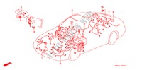 KABELBAUM(RH) für Honda PRELUDE SI 2 Türen 4 gang automatikgetriebe 1998