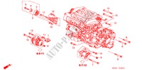 LICHTMASCHINEN STREBE(V6) für Honda ACCORD 3.0V6 4 Türen 4 gang automatikgetriebe 2001