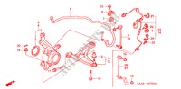 STABILISATOR, VORNE/ UNTERER ARM, VORNE für Honda JAZZ 1.4LX 5 Türen 5 gang-Schaltgetriebe 2002