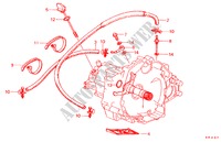 OELKUEHLERSCHLAUCH/ OELSIEB für Honda PRELUDE EX 2 Türen 4 gang automatikgetriebe 1983