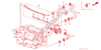 WASSERVENTIL für Honda LEGEND ZI 4 Türen 4 gang automatikgetriebe 1989