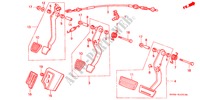 BREMSE PEDAL/KUPPLUNGSPEDAL(2) für Honda CIVIC SHUTTLE GL 5 Türen 5 gang-Schaltgetriebe 1988