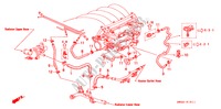 WASSERSCHLAUCH(L5) (RH) für Honda ACURA 2.5TL 2.5TL 4 Türen 4 gang automatikgetriebe 1995