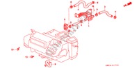 WASSERVENTIL(L5) (LH) für Honda VIGOR VIGOR 4 Türen 4 gang automatikgetriebe 1996