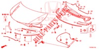 MOTORHAUBE (RH) für Honda CIVIC 1.8 ES 5 Türen 5 gang automatikgetriebe 2013