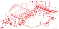 MOTORHAUBE (LH) für Honda ACCORD TOURER DIESEL 2.2 COMFORT 5 Türen 5 gang automatikgetriebe 2015