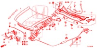 MOTORHAUBE (LH) für Honda ACCORD TOURER 2.0 ELEGANCE PACK 5 Türen 6 gang-Schaltgetriebe 2014