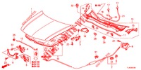 MOTORHAUBE (LH) für Honda ACCORD TOURER 2.0 COMFORT 5 Türen 6 gang-Schaltgetriebe 2013
