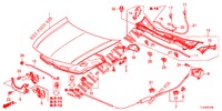 MOTORHAUBE (LH) für Honda ACCORD TOURER 2.0 ELEGANCE PACK 5 Türen 6 gang-Schaltgetriebe 2013