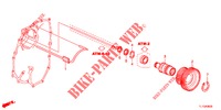 ZWISCHENWELLE  für Honda ACCORD 2.0 ELEGANCE 4 Türen 5 gang automatikgetriebe 2012