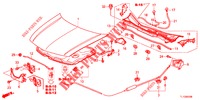MOTORHAUBE (LH) für Honda ACCORD 2.0 S 4 Türen 5 gang automatikgetriebe 2012