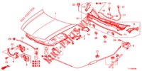 MOTORHAUBE (LH) für Honda ACCORD DIESEL 2.2 COMFORT 4 Türen 5 gang automatikgetriebe 2012