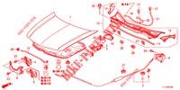 MOTORHAUBE (LH) für Honda ACCORD 2.0 S 4 Türen 6 gang-Schaltgetriebe 2013