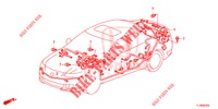 KABELBAUM (2) (LH) für Honda ACCORD 2.0 COMFORT 4 Türen 6 gang-Schaltgetriebe 2014