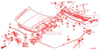 MOTORHAUBE (LH) für Honda ACCORD 2.0 COMFORT 4 Türen 6 gang-Schaltgetriebe 2014