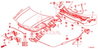 MOTORHAUBE (LH) für Honda ACCORD 2.0 ELEGANCE 4 Türen 6 gang-Schaltgetriebe 2014