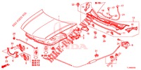 MOTORHAUBE (LH) für Honda ACCORD 2.0 ELEGANCE 4 Türen 5 gang automatikgetriebe 2014