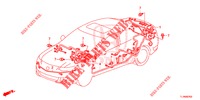 KABELBAUM (2) (LH) für Honda ACCORD 2.0 EXECUTIVE 4 Türen 5 gang automatikgetriebe 2014