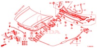 MOTORHAUBE (LH) für Honda ACCORD 2.0 S 4 Türen 6 gang-Schaltgetriebe 2014