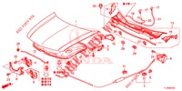 MOTORHAUBE (LH) für Honda ACCORD DIESEL 2.2 COMFORT 4 Türen 6 gang-Schaltgetriebe 2014