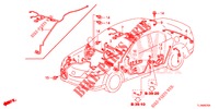 KABELBAUM (3) (LH) für Honda ACCORD DIESEL 2.2 ELEGANCE 4 Türen 6 gang-Schaltgetriebe 2014