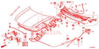MOTORHAUBE (LH) für Honda ACCORD DIESEL 2.2 ELEGANCE 4 Türen 6 gang-Schaltgetriebe 2014